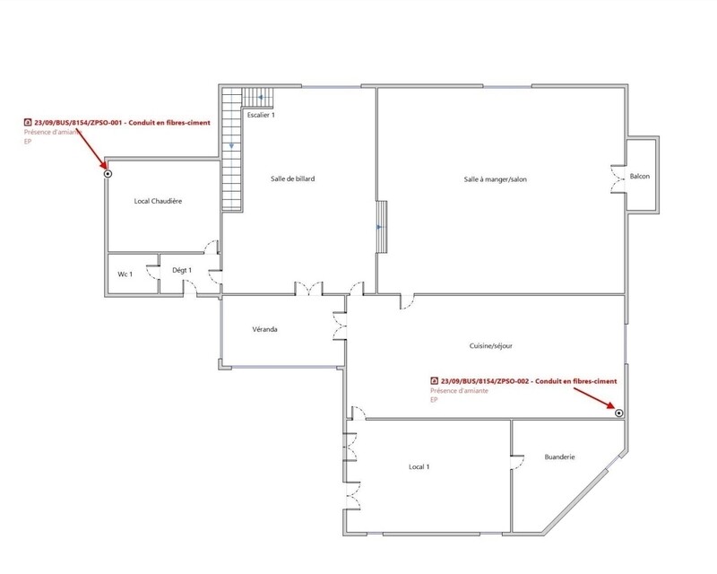 Proche Lentigny  Maison atipyque  290 m² 5 ch jardin 460 m² - Rdc 