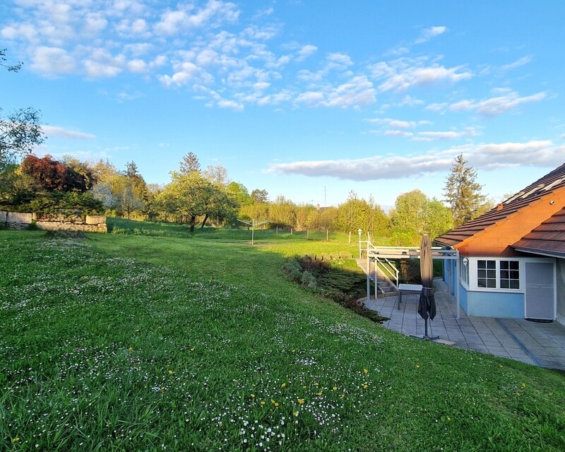 Magnifique propriété prête à emménager - Jardin