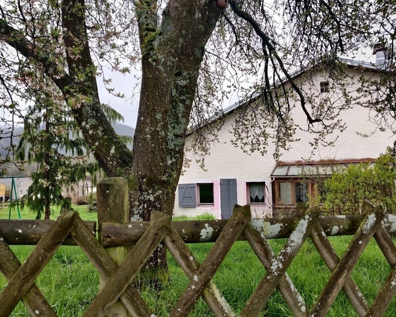 Jolie ferme au cœur d'un village Vosgien - Img 20240327 105537