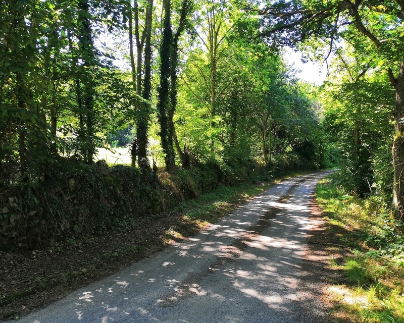 Ancienne ferme Creusoise très bien rénovée - Un beau chemin goudronné jusqu'à la propriété, une fois passé le hameau de 6 maisonss