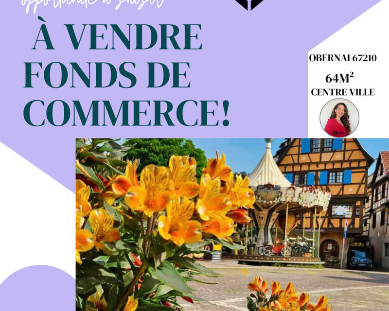 Fonds de commerce-Obernai 67210 - Publication instagram d agence immobilière vente de propriété simple en vert violet et blanc