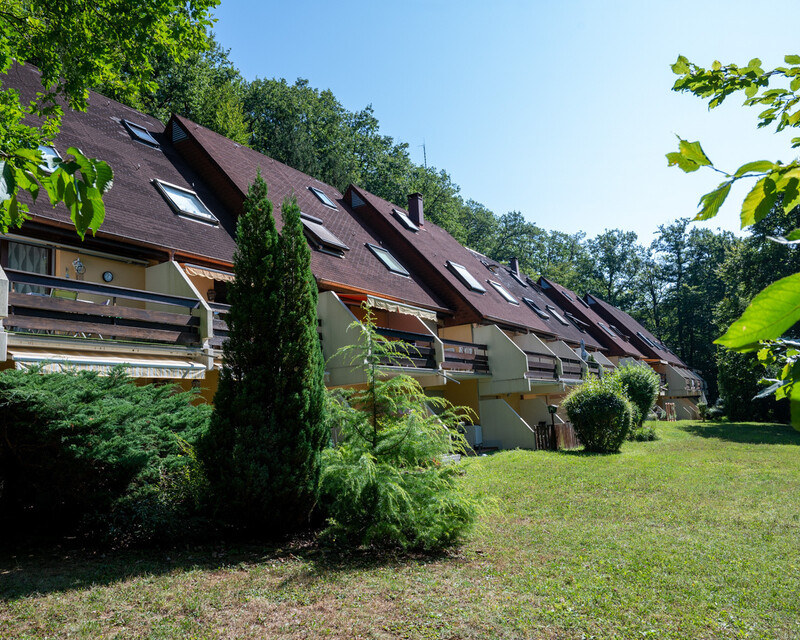 Boersch, Triplex 60 m² avec garage dans un écrin de verdure. - Triplex klingenthal-55