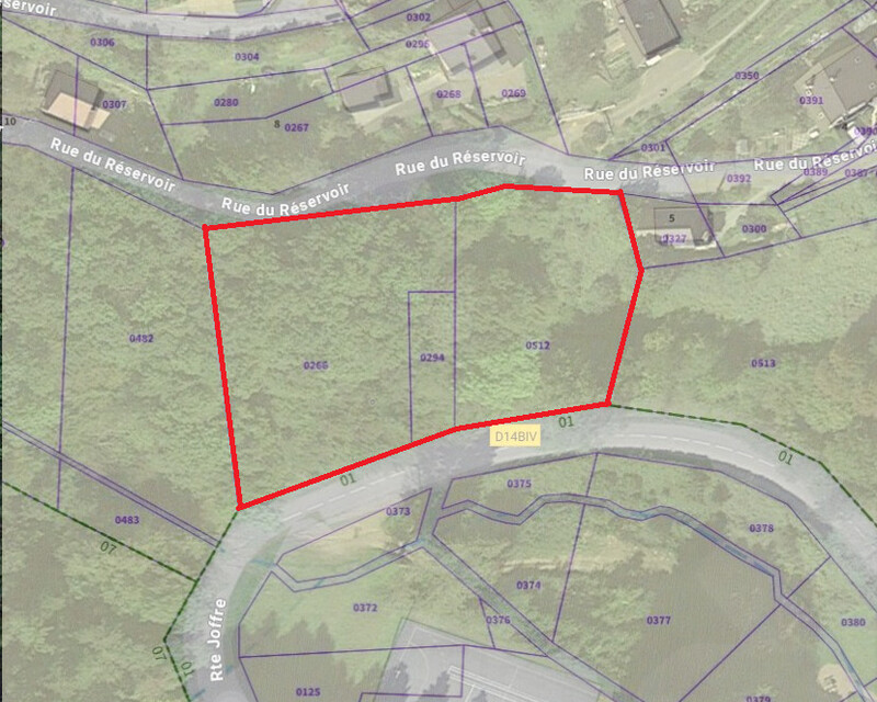 Terrain de 36,09 ares à Bourbach-le-Haut - Belle opportunité à saisir - Capture maps-