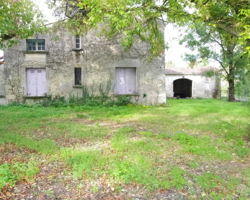 Maison en pierre à renover - Imgp9683