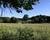 Trop tard ! - Vue du jardin sur la campagne environnante