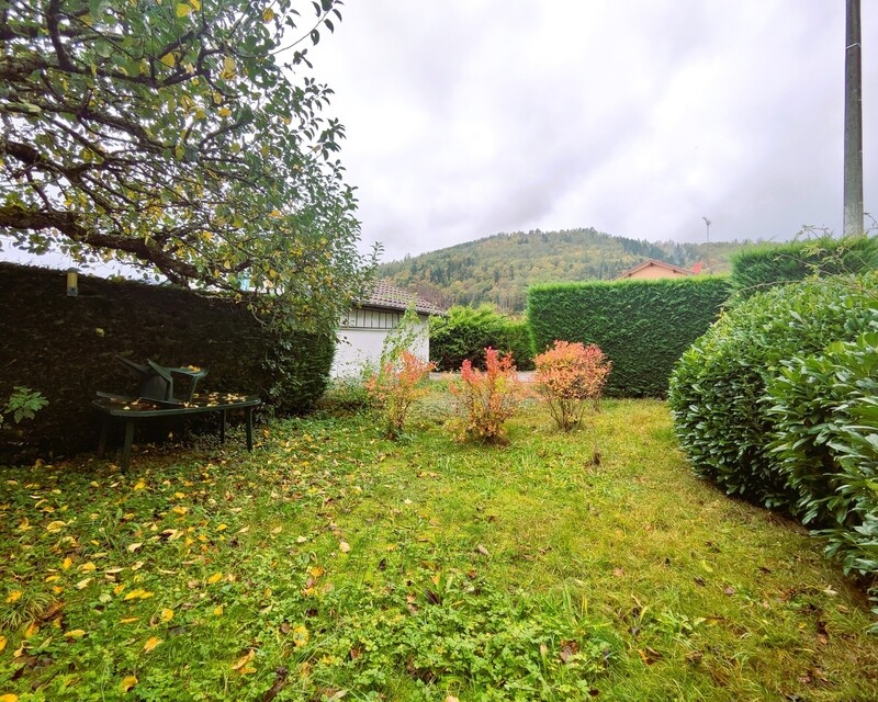 Grand F6 avec cave, garage, dépendance et jardin à Husseren (68470) - jardin privatif