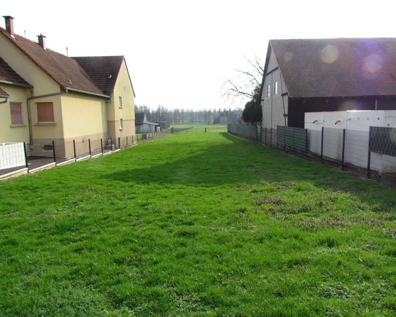 Terrain constructible non viabilisé de 12.29 ares - Img 1793