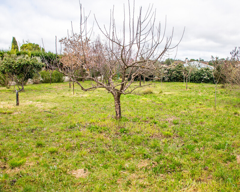 Maison St Maximin / Terrain 2360m2 avec piscine - Dsc 6095