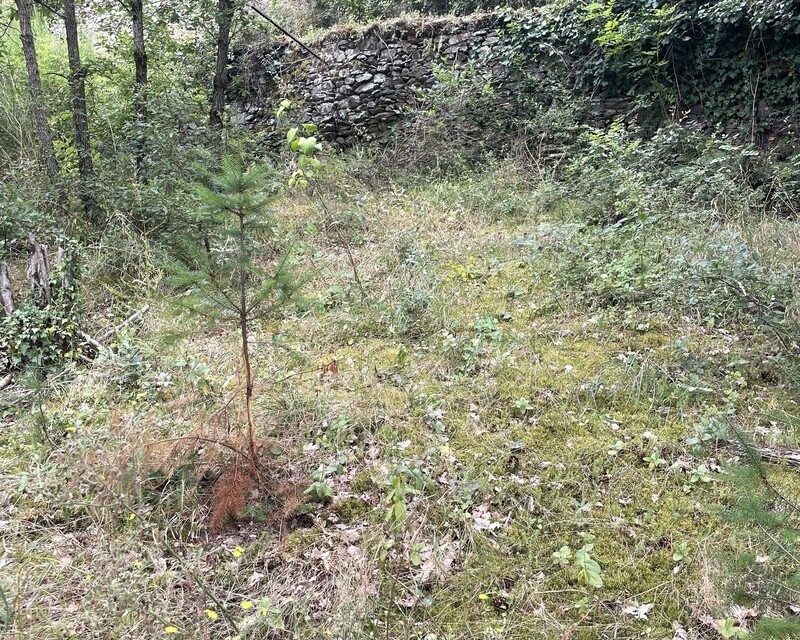 Terrain de loisirs au cœur du village - Img 0716