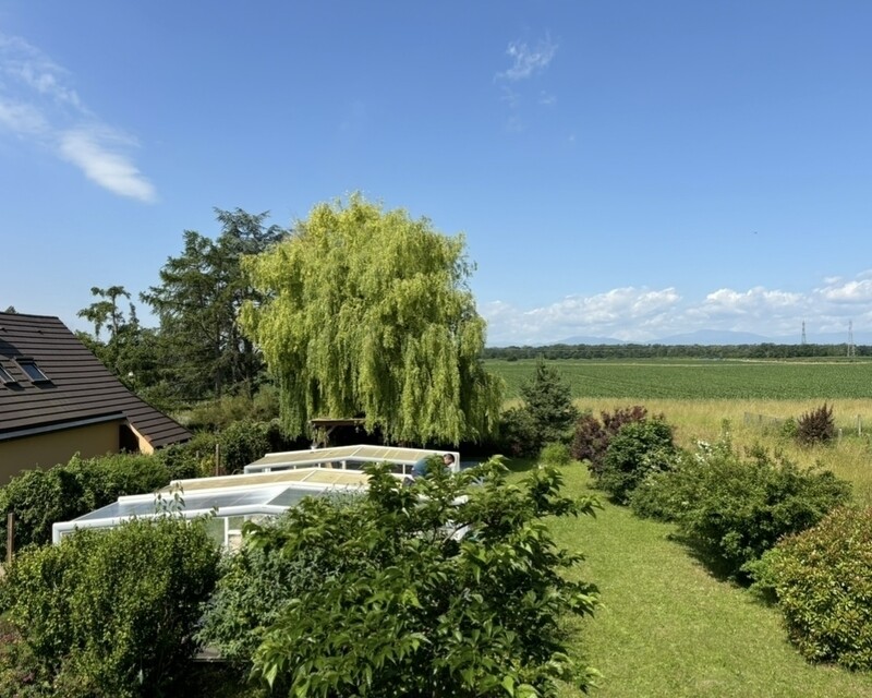 Vente en démembrement de propriété - Maison individuelle avec piscine - Img 7144