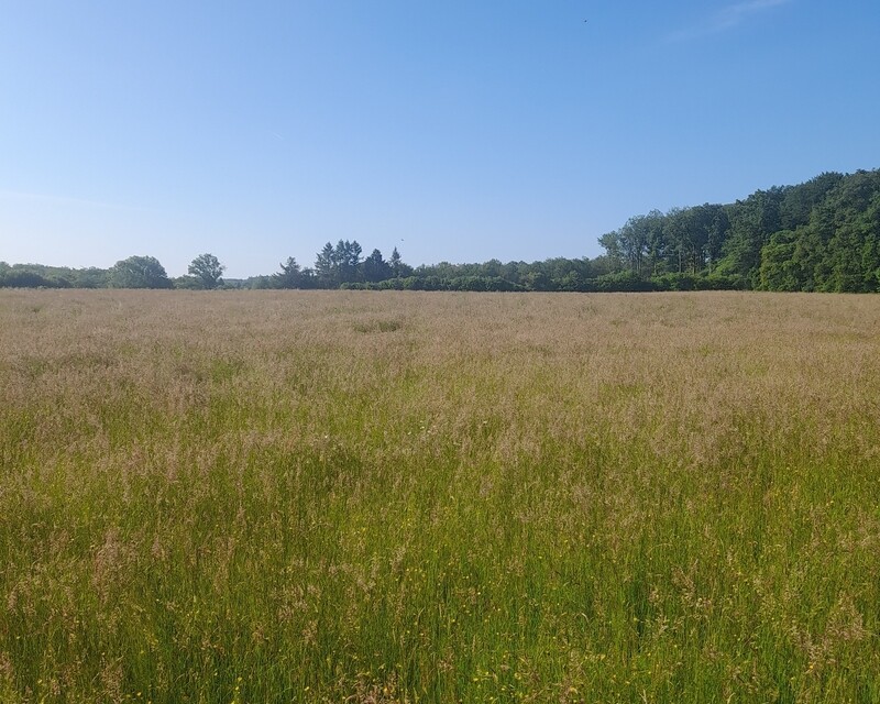 Terrains agricoles - Terrain fred