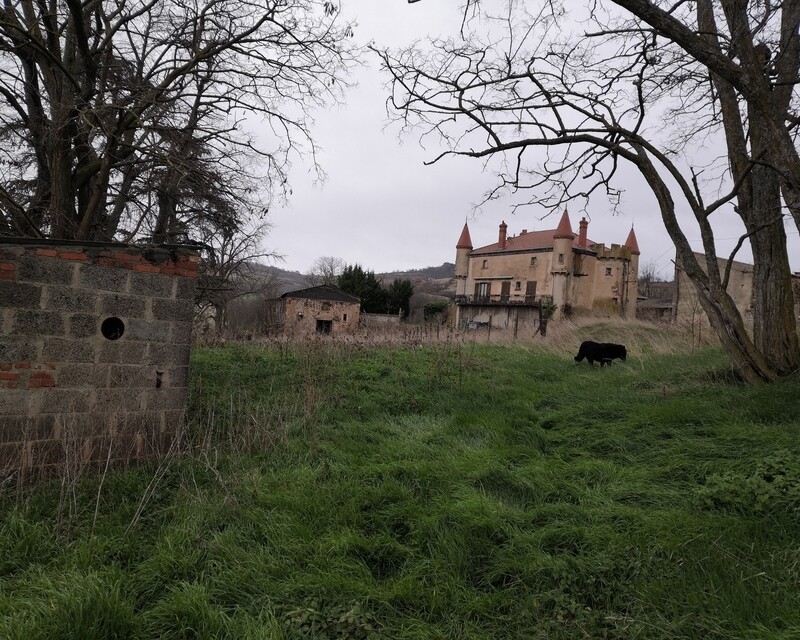 Ferme Château, dépendances et maison individuelle rénovée - Img 20240309 154718