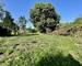 Maison de caractère à fort potentiel sur un très vaste terrain - Jardin 