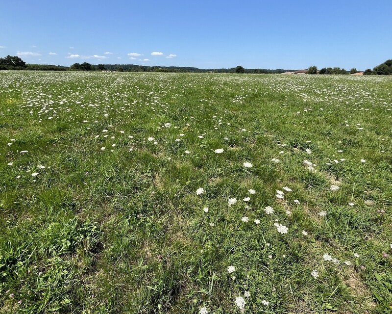 Terrain constructible de 2500m2 avec vue sur les Pyrénées - Img 0203