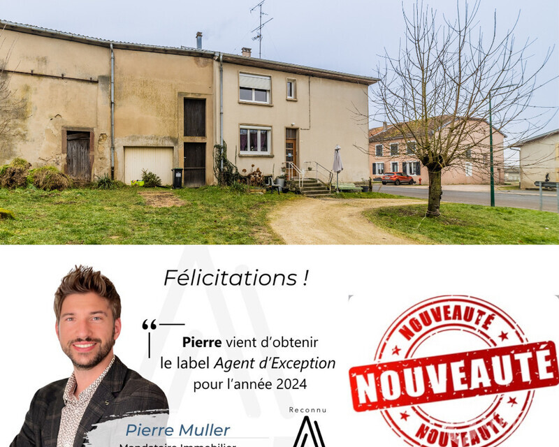 Investissement locatif, à 5 mn de Dieuze. - En moins de 20 jours   - 2025-03-03t105925.982