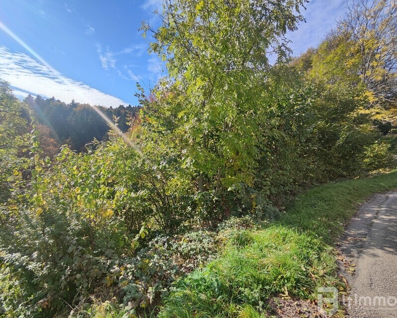 Terrain de 36,09 ares à Bourbach-le-Haut - Belle opportunité à saisir - rue du réservoir