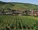 Neuf 3P Appt Haut de gamme à Barr - Kirchberg de barr grand cru kirchberg de barr - vins d alsace