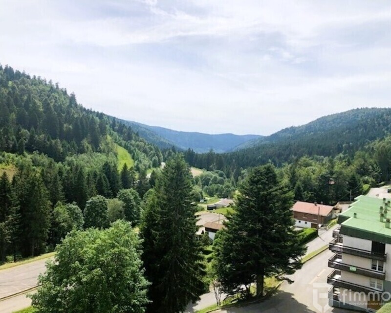 Au pied des pistes et chemins de randonnées - Photo la bresse hohneck  3